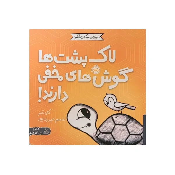 bigbag_کتابلاک‌پشت‌هاگوش‌هایمخفیدارند_88888.webp